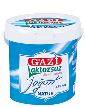 #4428 Gazi Joghurt 3,5% 1kg laktosefrei