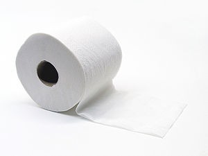 #6680 Selinay Toilettenpapier / Jumbo / 1x6 / 2Lag /25cm