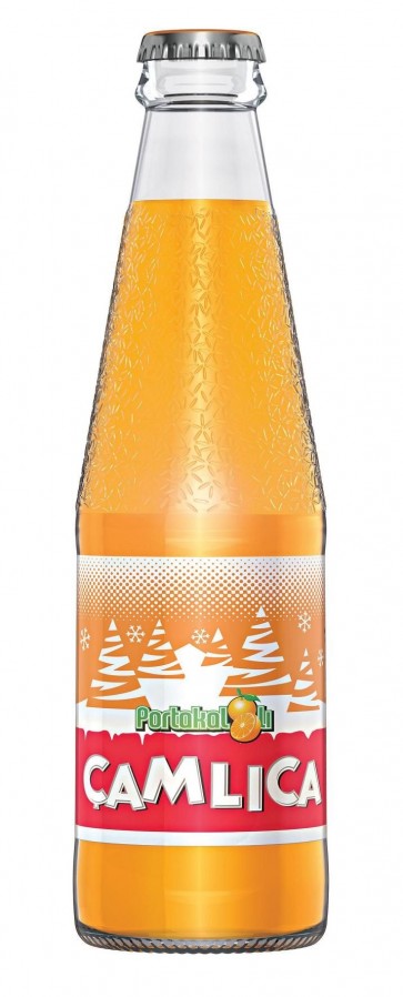 #2098 Camlica Paortakalli 250ml Flasche Orange